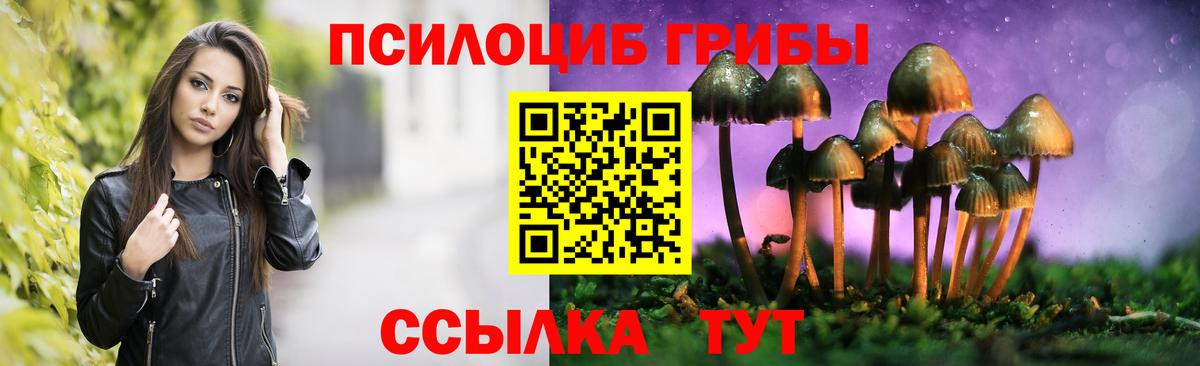 купить   Псилоцибиновые грибы мухоморы  Горячий Ключ  Вход с VPN  Псилоцибиновые грибы Magic Shrooms 